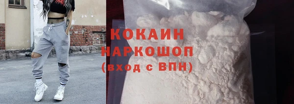 твердый Инсар