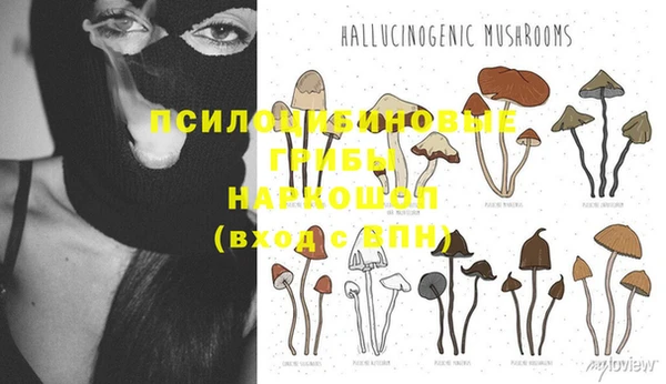 прущая мука Каменногорск