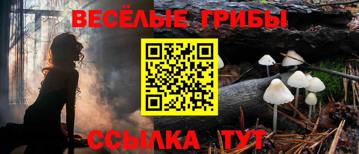 Псилоцибиновые грибы прущие грибы  Псилоцибиновые грибы мухоморы  Крымск  Вход с VPN 